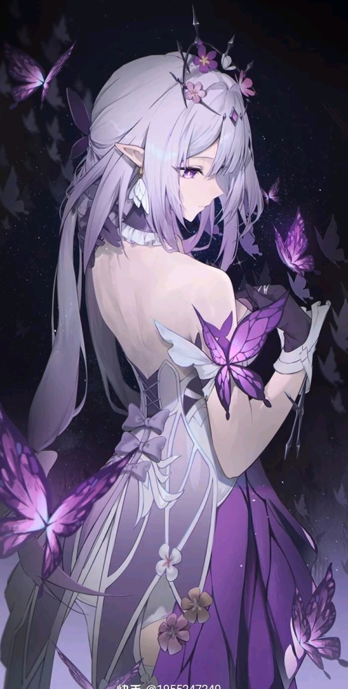 我的霞蝶好美啊！