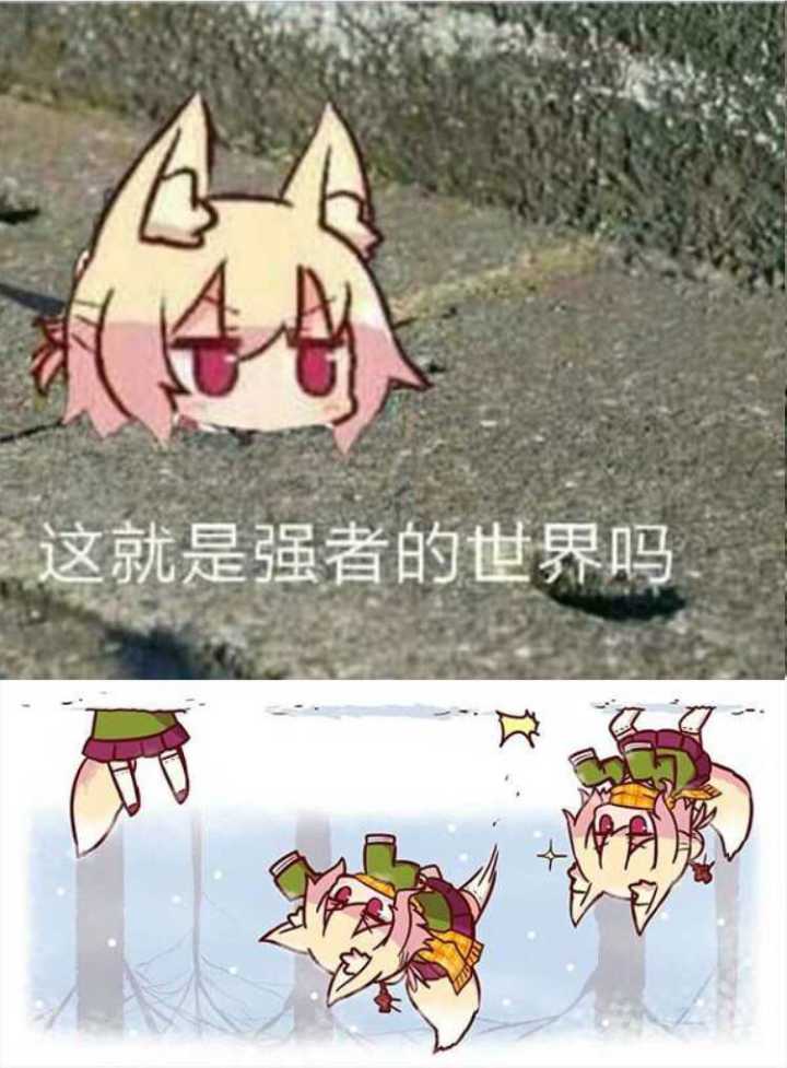 对不住各位我先毕业了