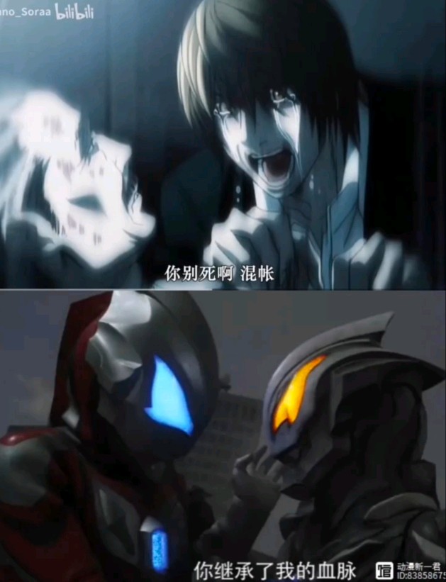 谁更孝顺