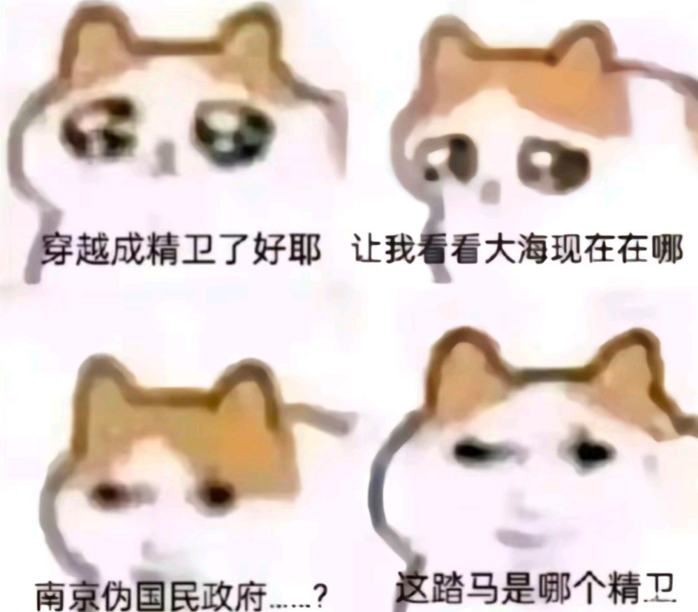 今日弔图