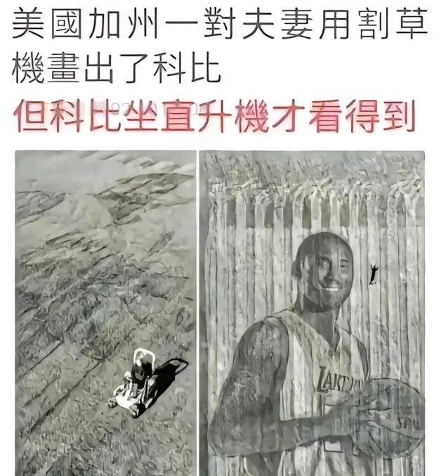 今日弔图