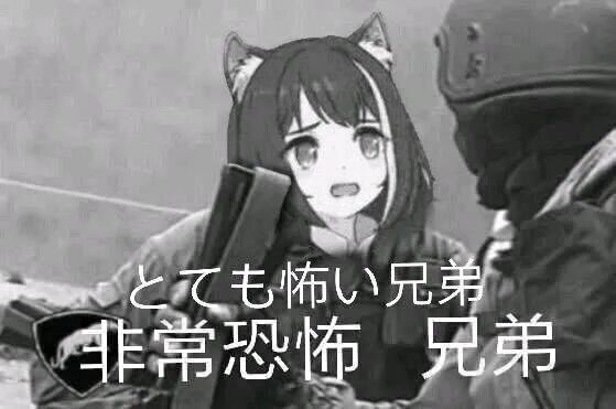 鸽子：非常恐怖，兄弟