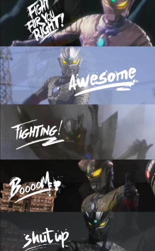 塞兔子是真的帅