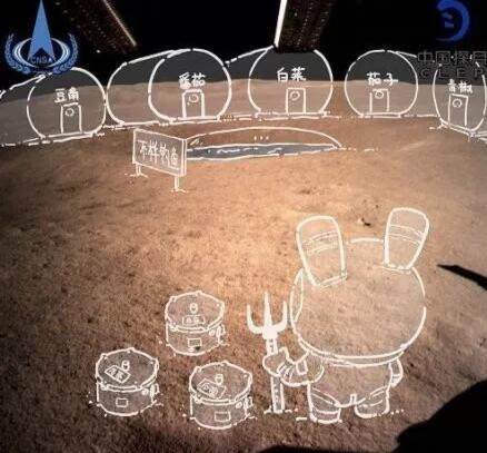 残念,月壤不能种菜