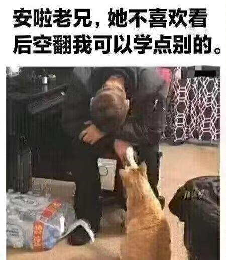 有时候，不是猫的问题