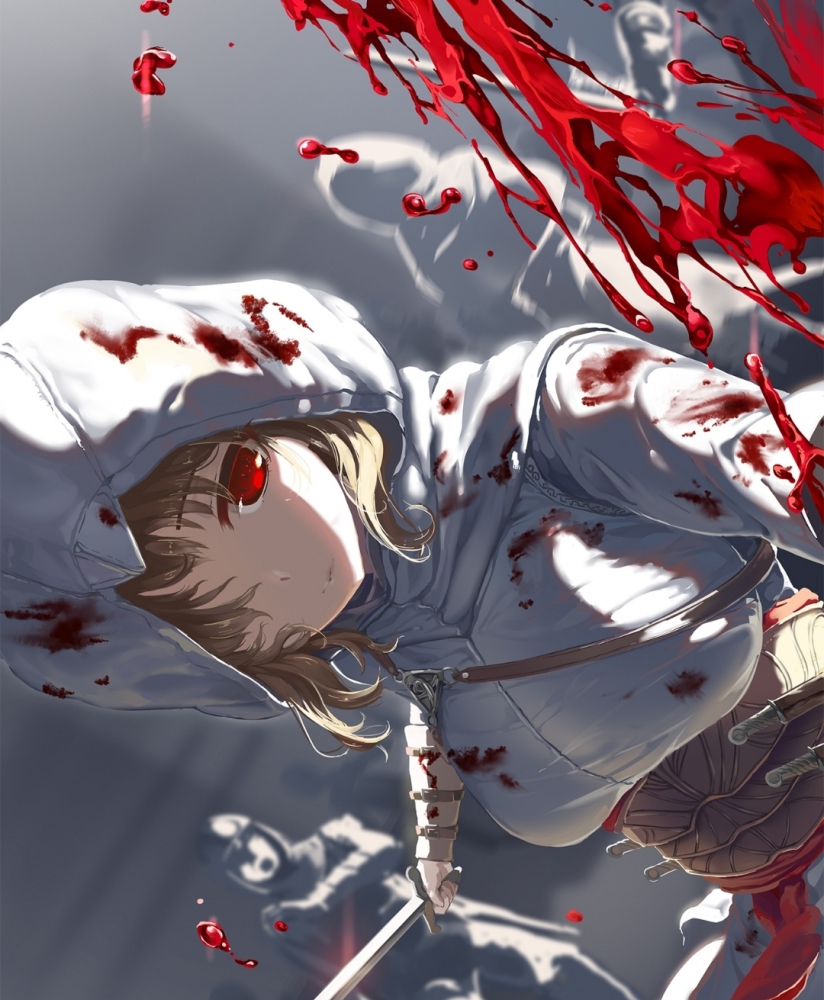 刺客大师！