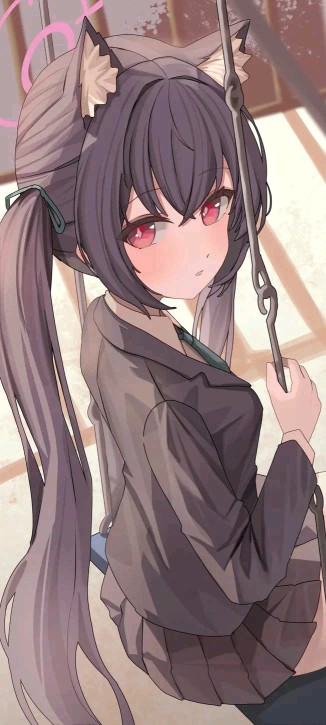猫猫