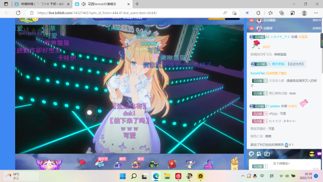 jojo立不善の猫
