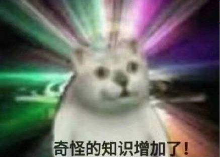 奇怪的知识真的增加了