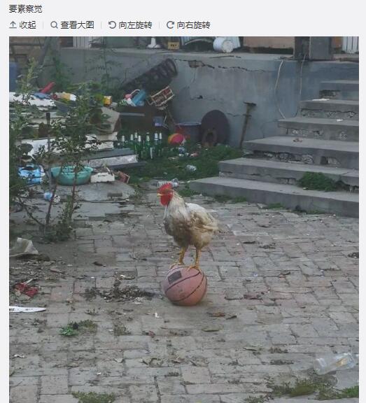 这也太美了吧