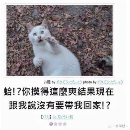 负心人！