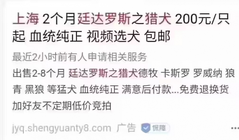 这卖狗的有点门道