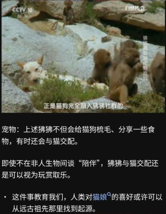 否则为什么要驯化呢