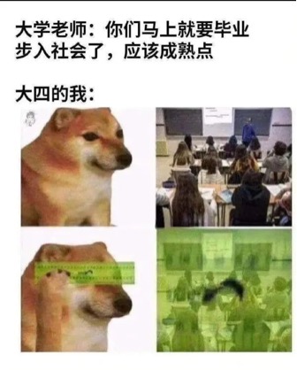 meme