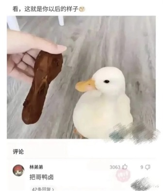 鸭鸭meme