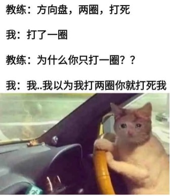 猫猫meme