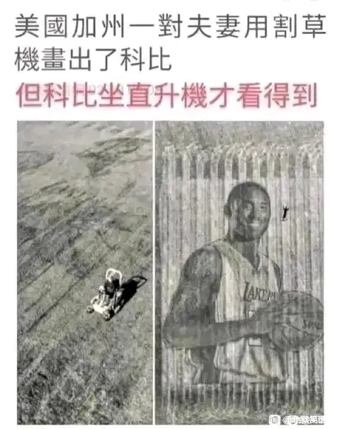 我回来了