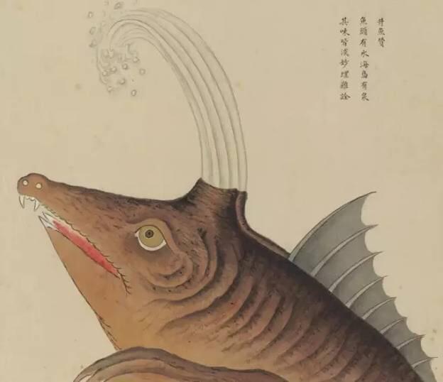 《海错图》中的鲸鱼