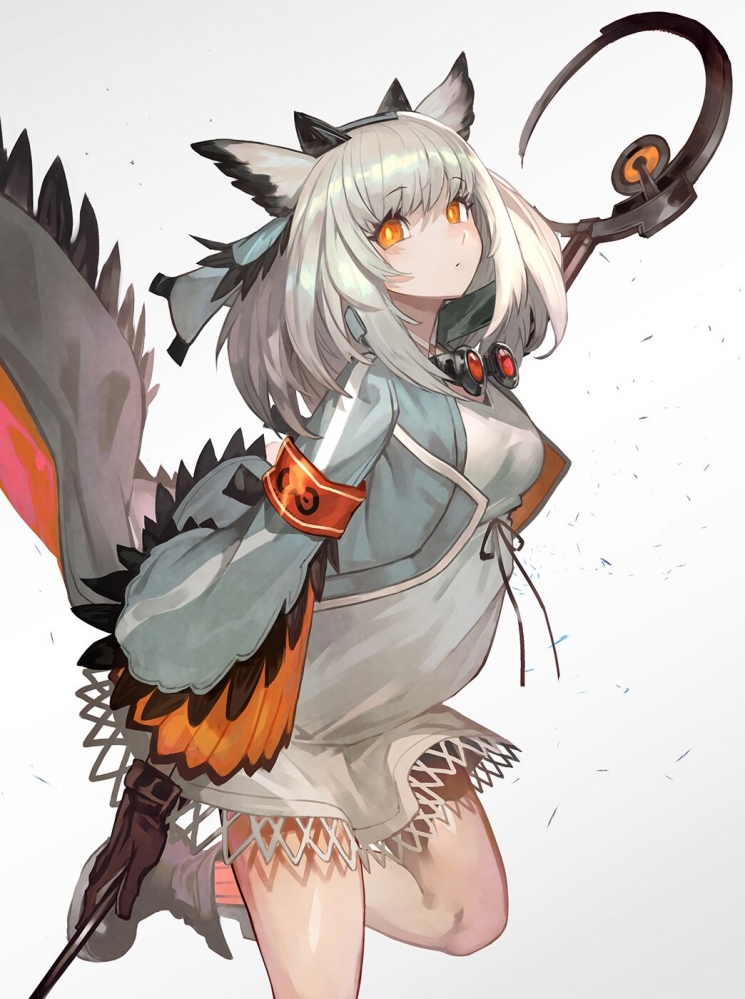 白面鸮