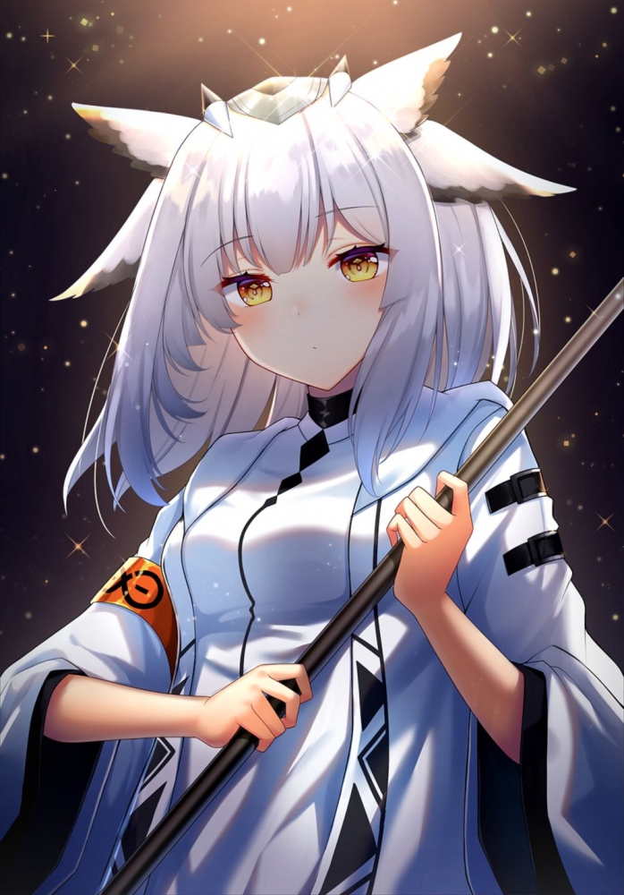白面鸮