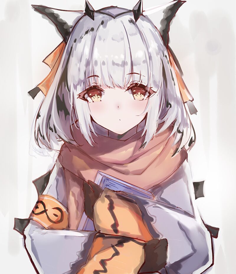 白面鸮