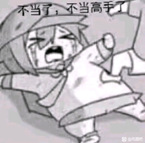 不当高手了
