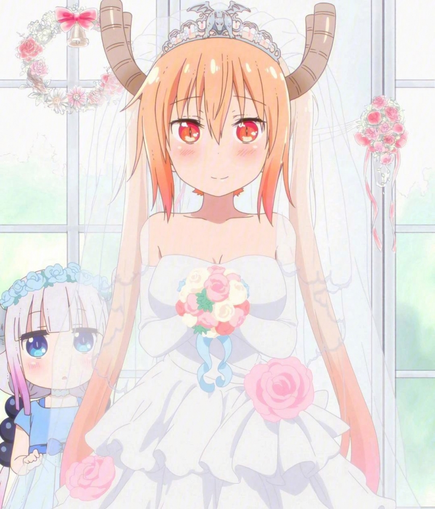 因为是龙，所以是D